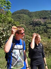 Camino Inca
