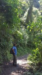 Camino Inca